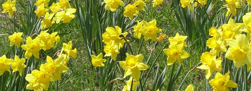 Donate to Michele Mainland